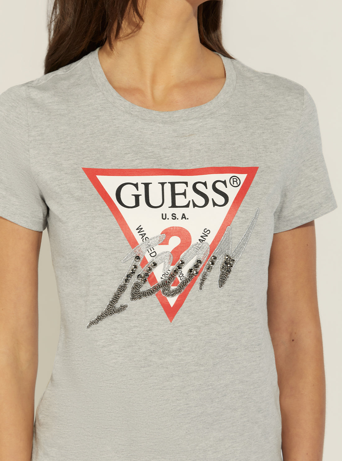 Eco Grey Icon Logo T-Shirt